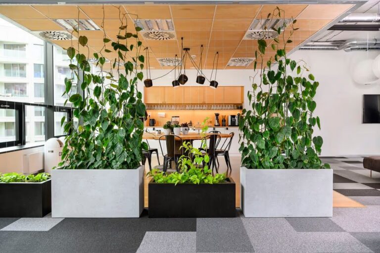 Greenplex květiny do exteriéru