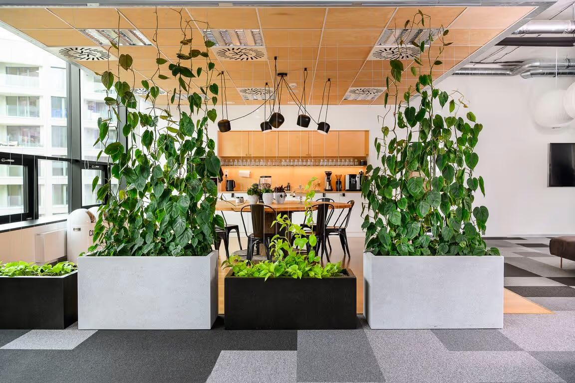 Greenplex květiny do exteriéru