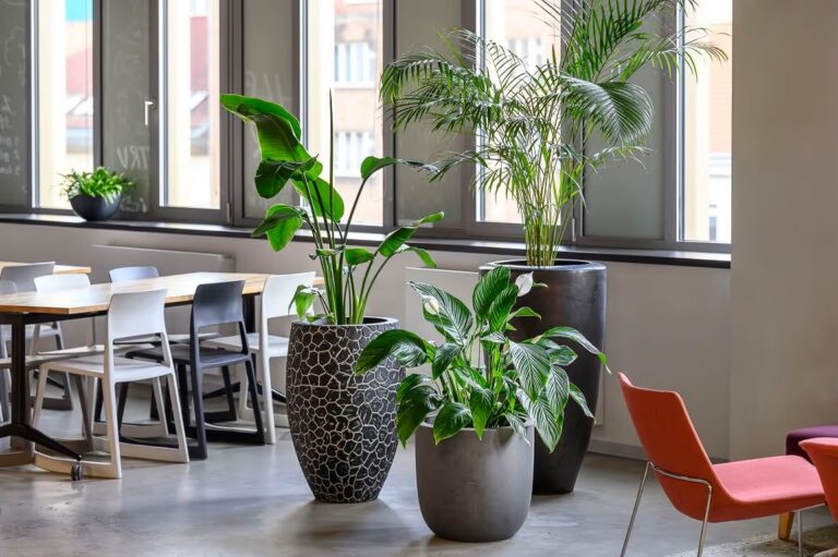 Greenplex květiny v kanceláři