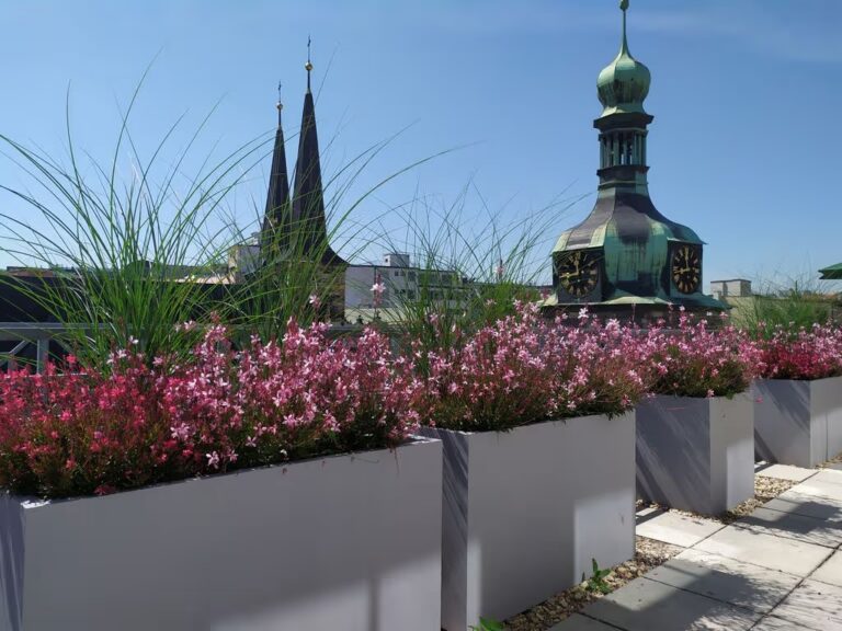 Greenplex květiny terasa Praha centrum
